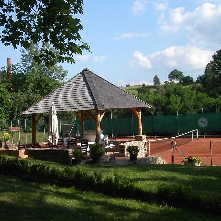 Chateau Radvanov Pension Mlada Vozice Exterior photo